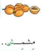 مشمش