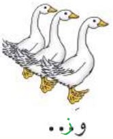 وز